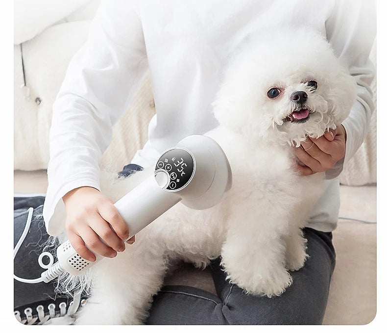 Pet intelligent hair dryer hair dryer for dog/cat beauty LED display screen IOU temperature and wind speed control pet supplies