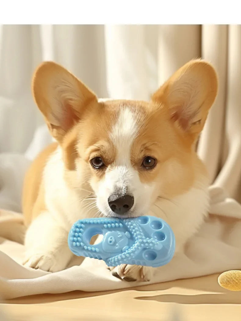 Pet Dog TPR Toy Bite-resistant Slippers Gnawing Teeth Cleaning Schnauzer Teddy Puppy Pet Products Dental Cleaning Slipper Toy
