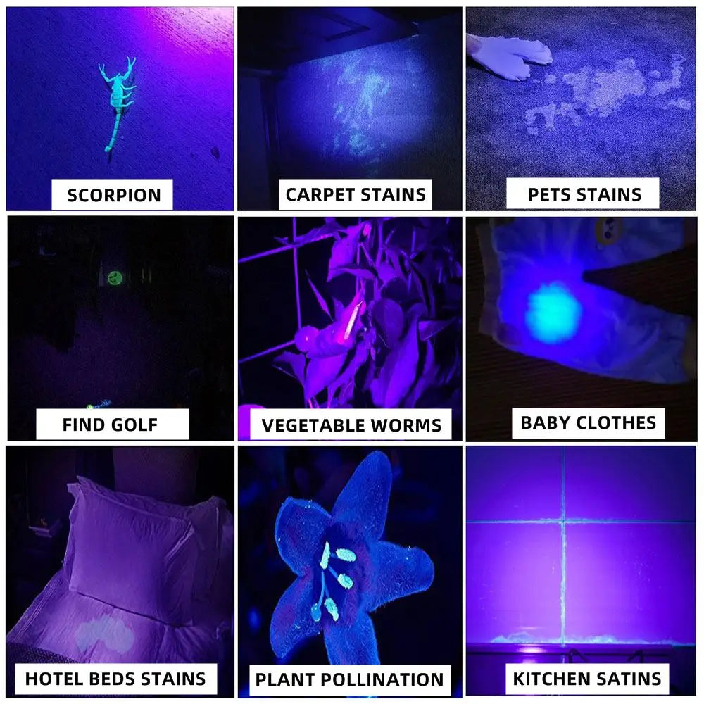 Ultraviolet 365/395nm Zoom Ultra Violet flashlight UV Fluorescent Blacklight Invisible Marker Curing Cat Dog Detector TK504