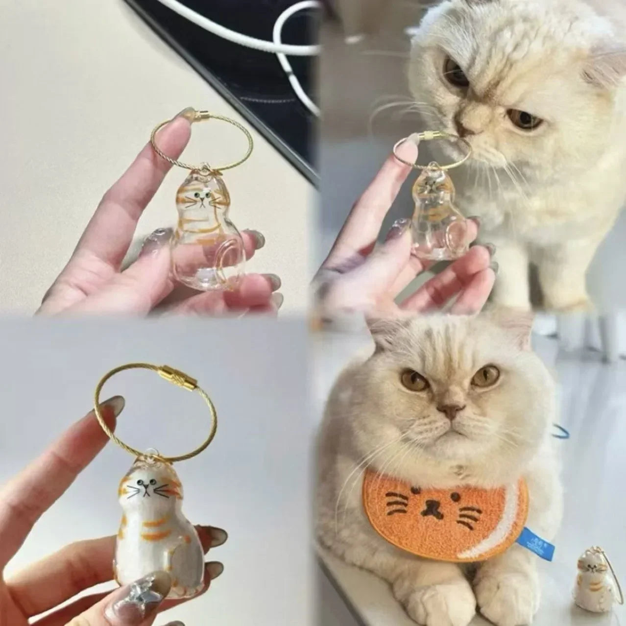 Pet Hair Keepsake Box Transparent Storage Container for DIY Decoration Memorial Gift for Pet Lovers Home Display