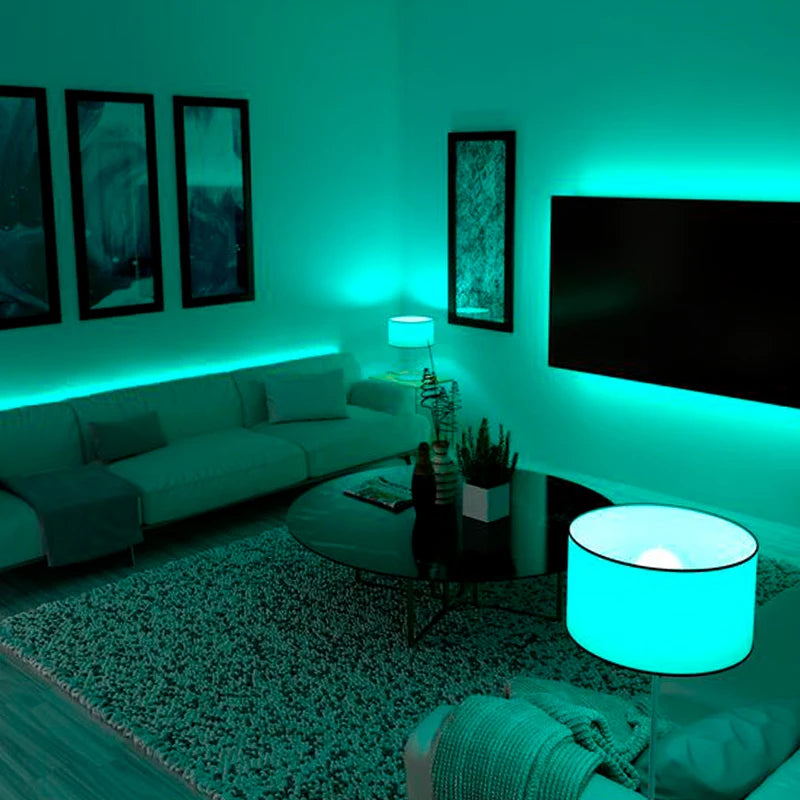 LED Strips Infrared Control Neon Ice Lights TV Backlight Room Decor SMD5050 USB Bedroom Decoration 1m 2m 3m 4m 5m Luces LED