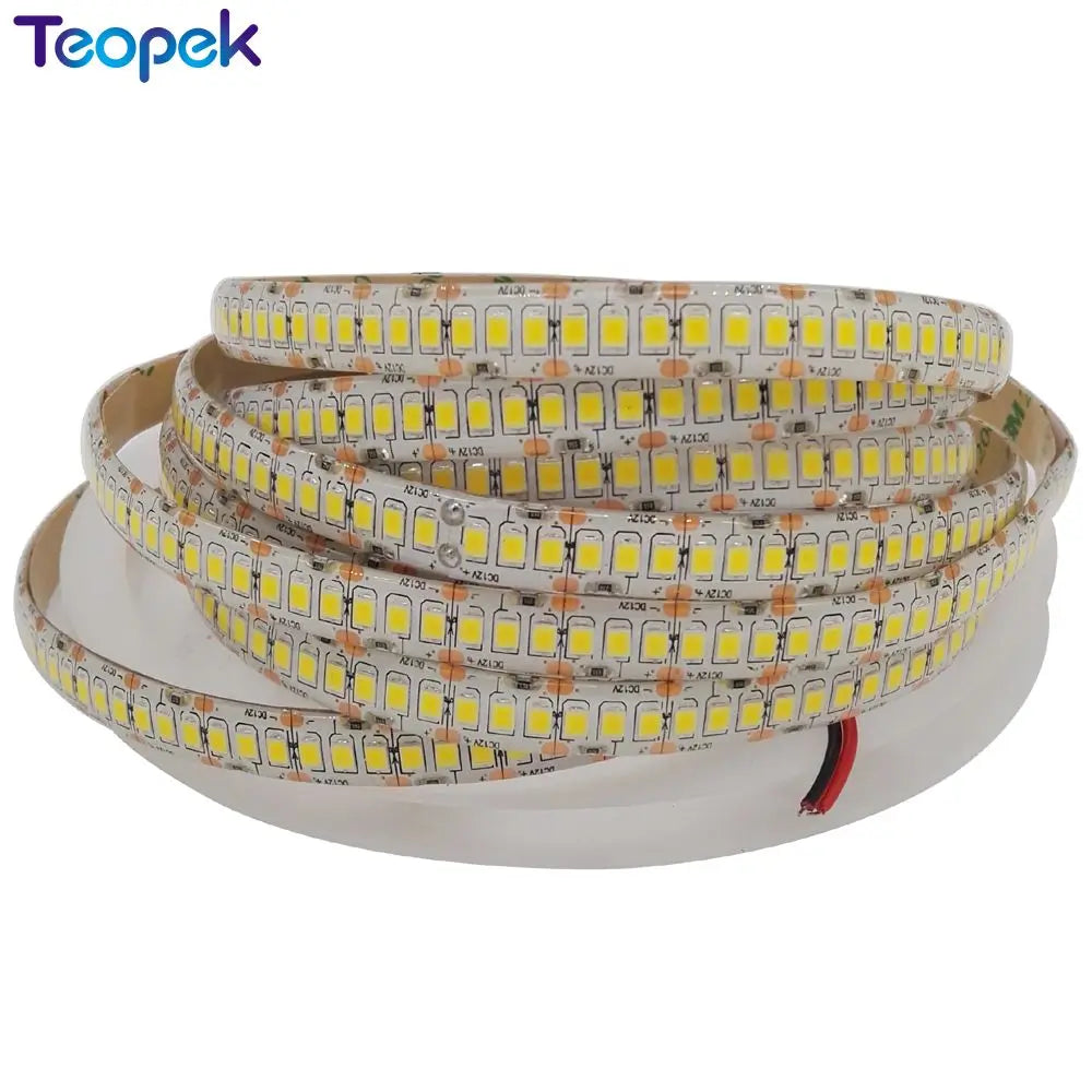 LED Strip 2835 240 LEDs/m DC12V 24v High Brightness 1200 LED Single Row Flexible LED Light Warm White / White RGB 5m/lot