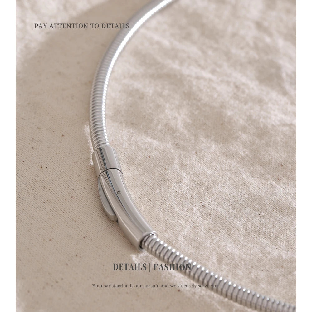 NiNice Necklace 316 Stainless Steel Snake Chain Collar 18k Plated Fashionable Simple gift Collares Para Mujer Grandes Modernos