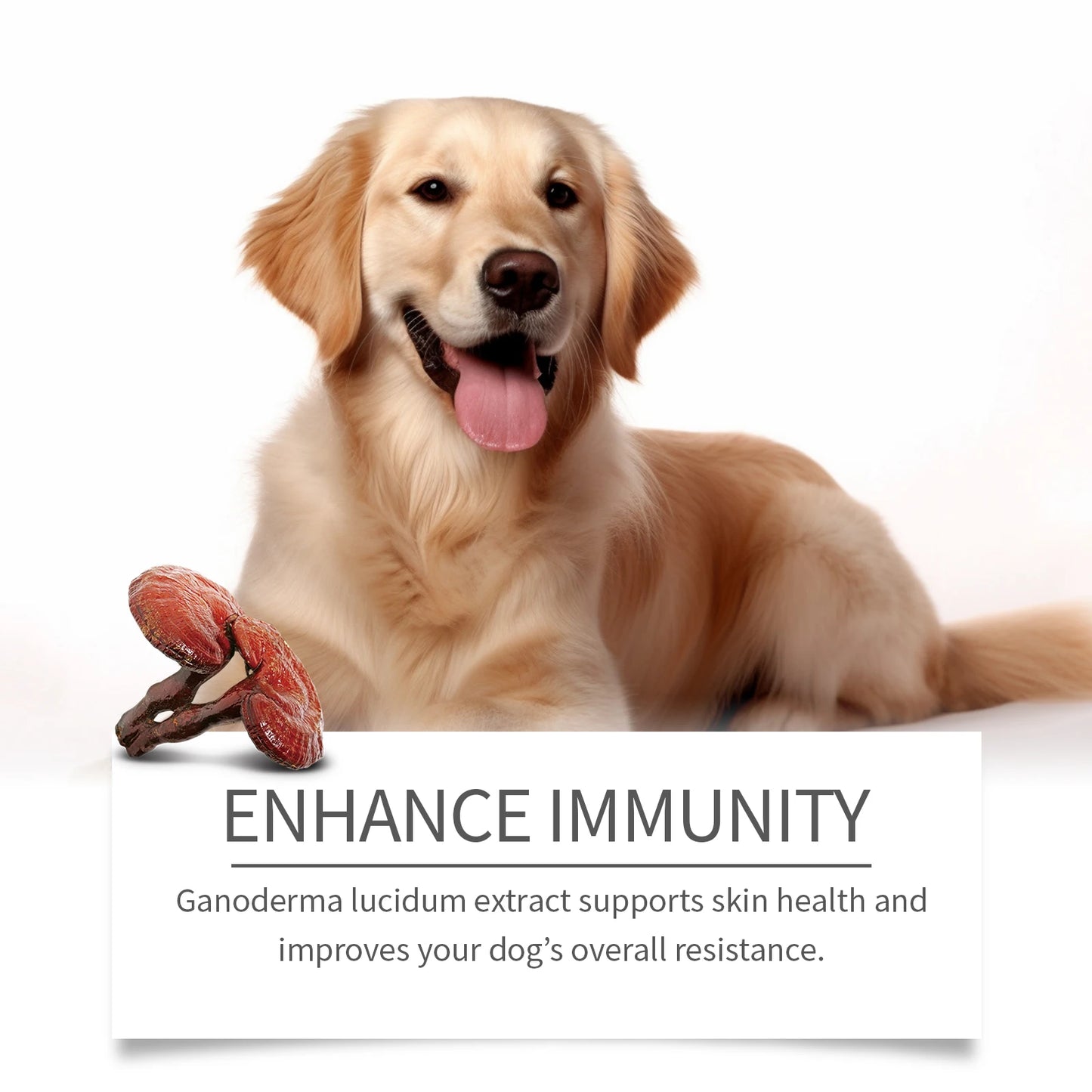Dog Skin Cleansing Cream: Gentle Herbal Formula, Nurtures & Cleanses Dogs' Body Skin