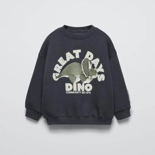 2024 New Spring Autumn Bobo Baby Boys Girls Tops Clothes Cotton Hooded Sweatshirt Kids Casual Sportswear Children's Clothing