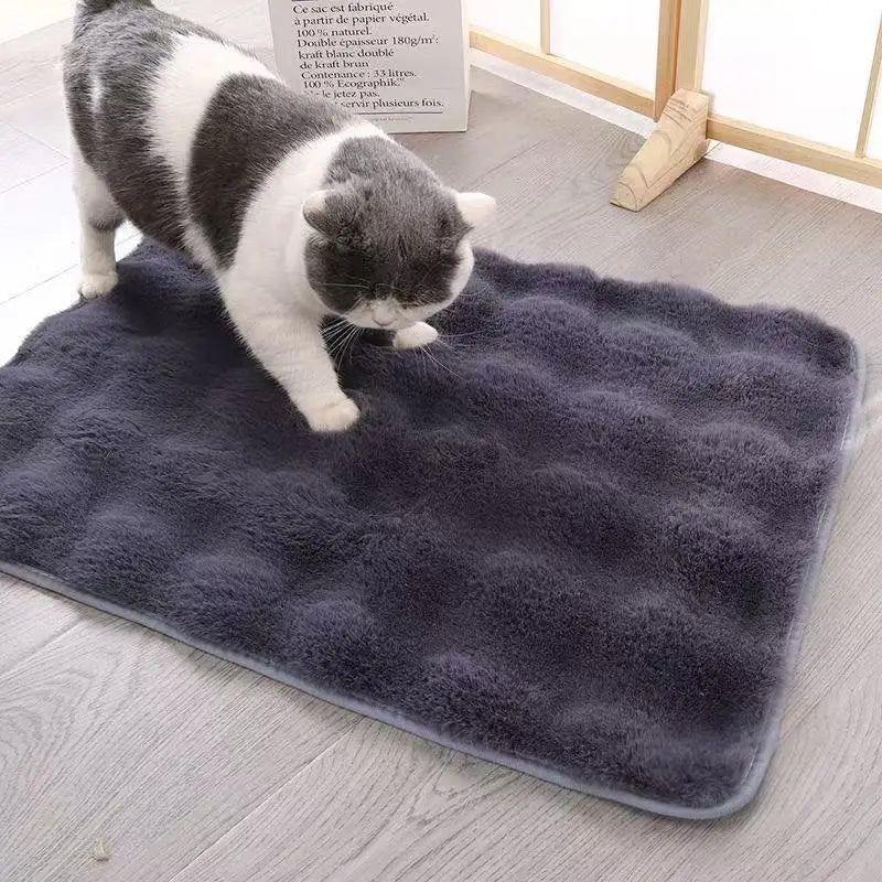 Ultra-Soft Pet mat Winter Warm Dog Blanket Cat bed Sofa Mat Super Comfortable Pet Blanket Pad Mat for Cats Dogs Sleeping Mat