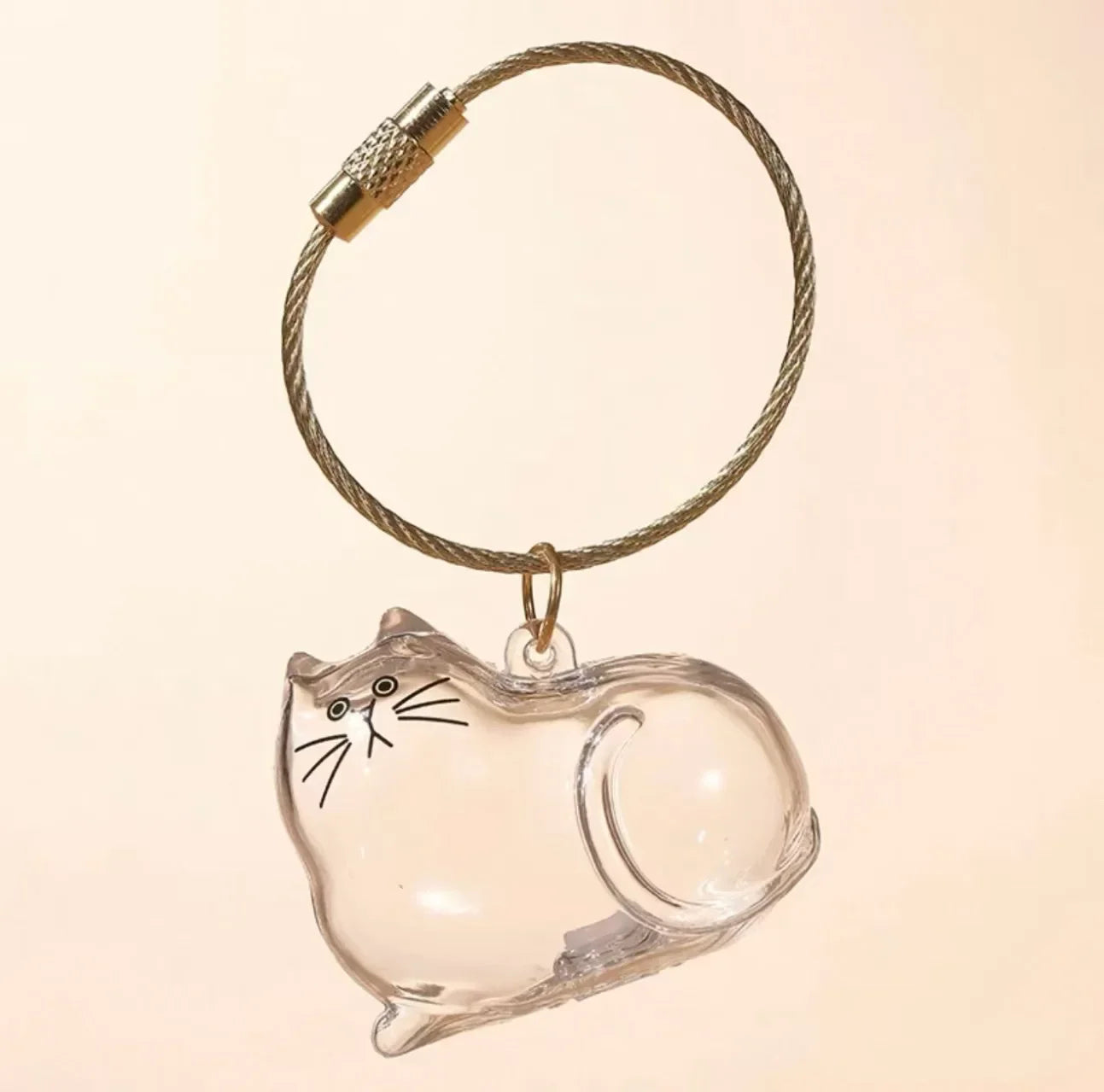 Pet Hair Keepsake Box Transparent Storage Container for DIY Decoration Memorial Gift for Pet Lovers Home Display