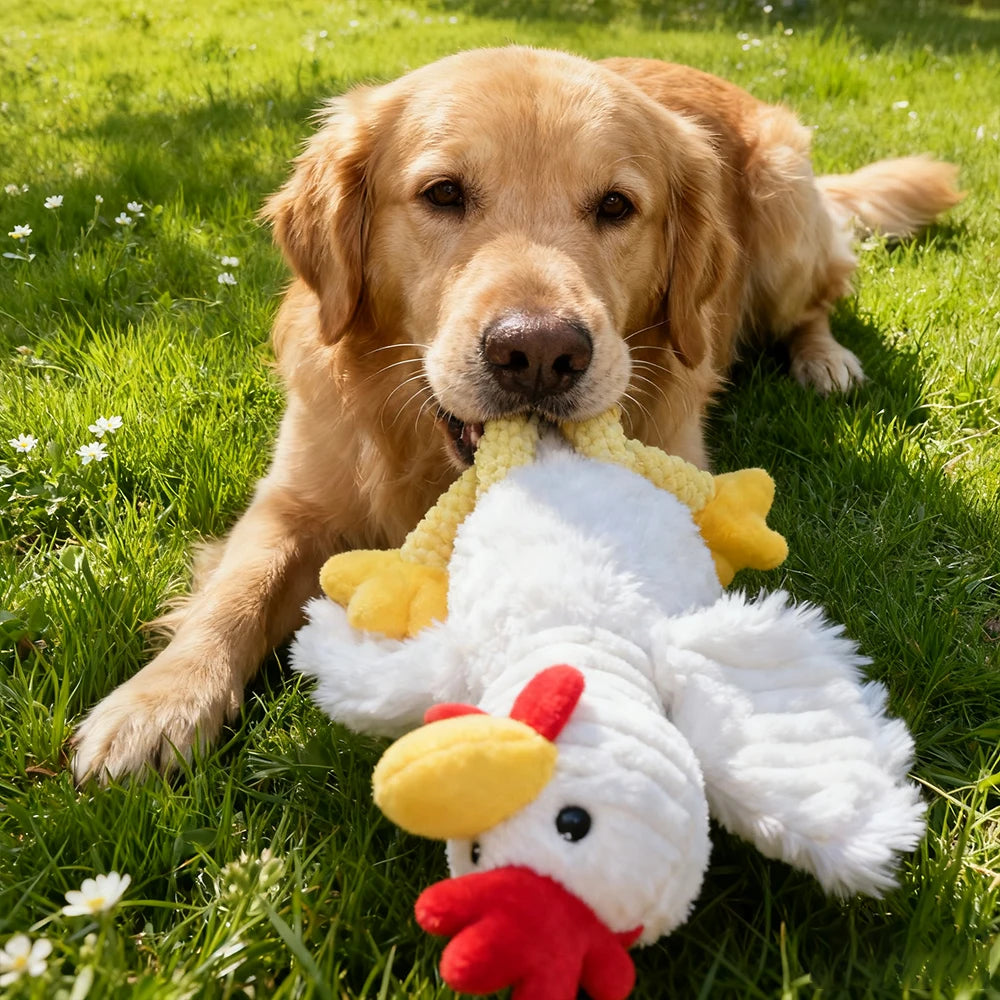 Pet Chew-Resistant Plush Interactive Toy with Sound, Cartoon Rooster Design, Suitable for Large, Medium, and Small Pets Such as Cats and Dogs, Double-Layer Fabric, Built-In Airbag