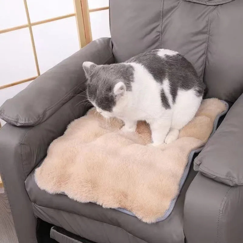 Ultra-Soft Pet mat Winter Warm Dog Blanket Cat bed Sofa Mat Super Comfortable Pet Blanket Pad Mat for Cats Dogs Sleeping Mat