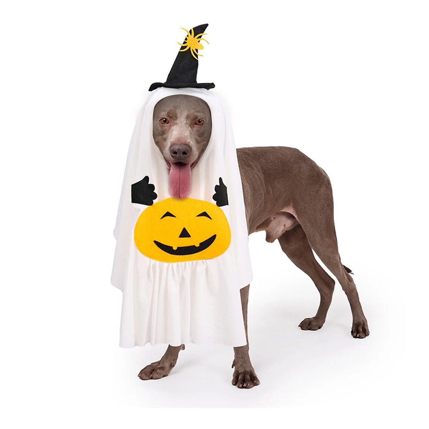 Halloween Pet Ghost Pumpkin Costume Adorable Pumpkin Pet Costume for Dogs and Cats Fun Trick-or-Treat Pet Costumes Easy To Wear