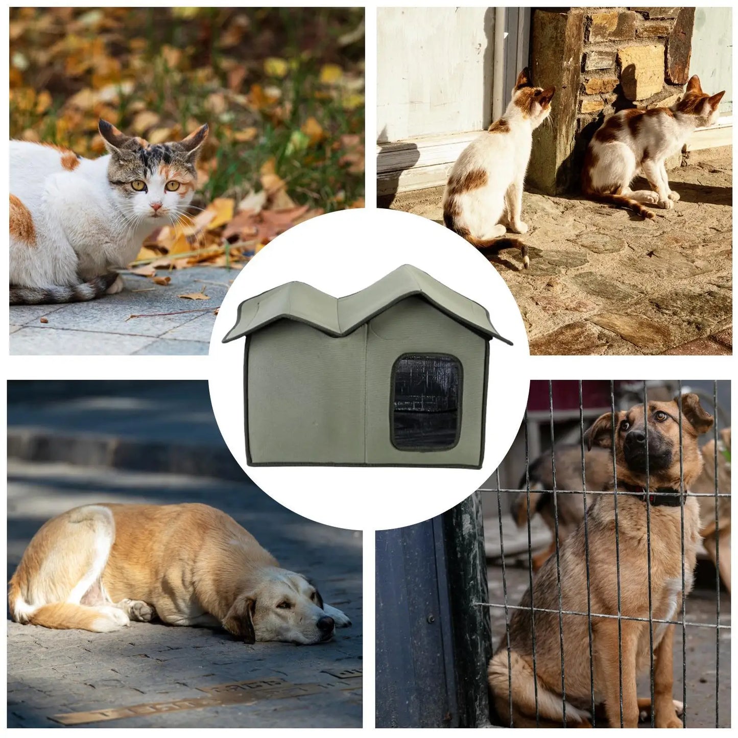 Feral Cat House Large Insulated Cat Shelter Waterproof Weatherproof Pet House with Transparent Door Washable Cat Hut for Cat Dog