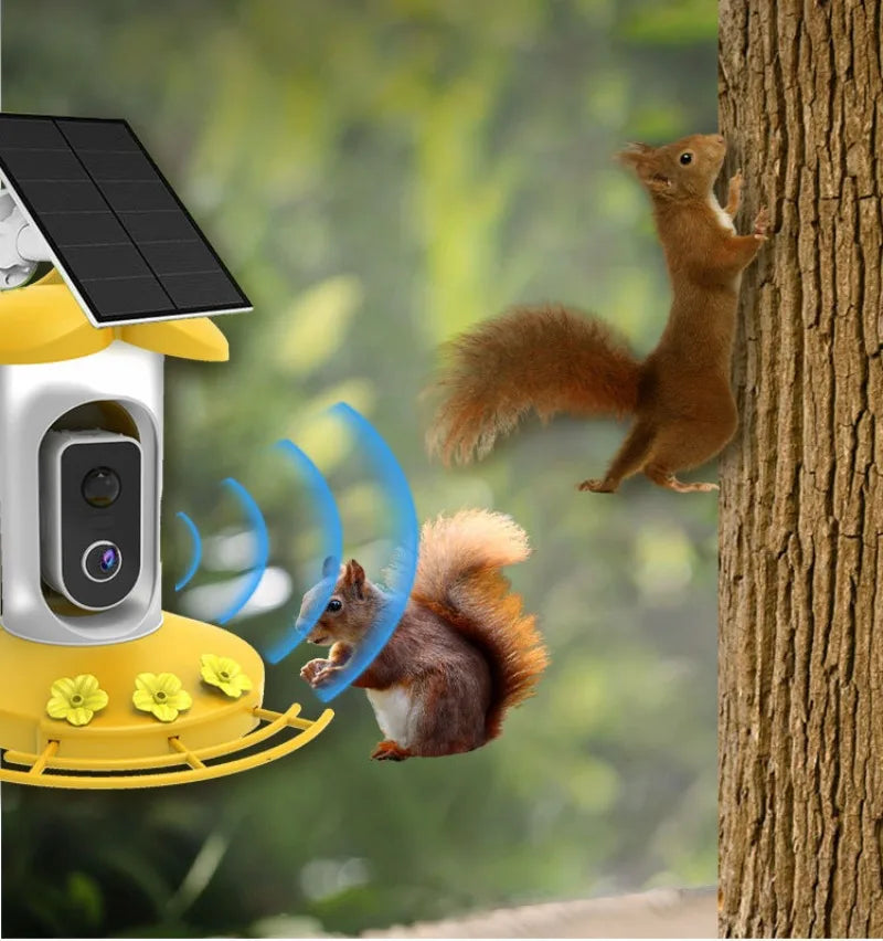 Intelligent Bird Feeder Camera Solar-powered Wide-angle High-definition  Outdoor Real-time Monitoring Pet Supplies Accessories