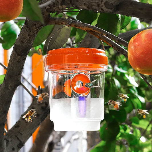 Outdoor Insect Trap with Lid Effective Fruit Fly Wasp Catcher Transparent Design Reusable Pest Control Trap for Garden Patio