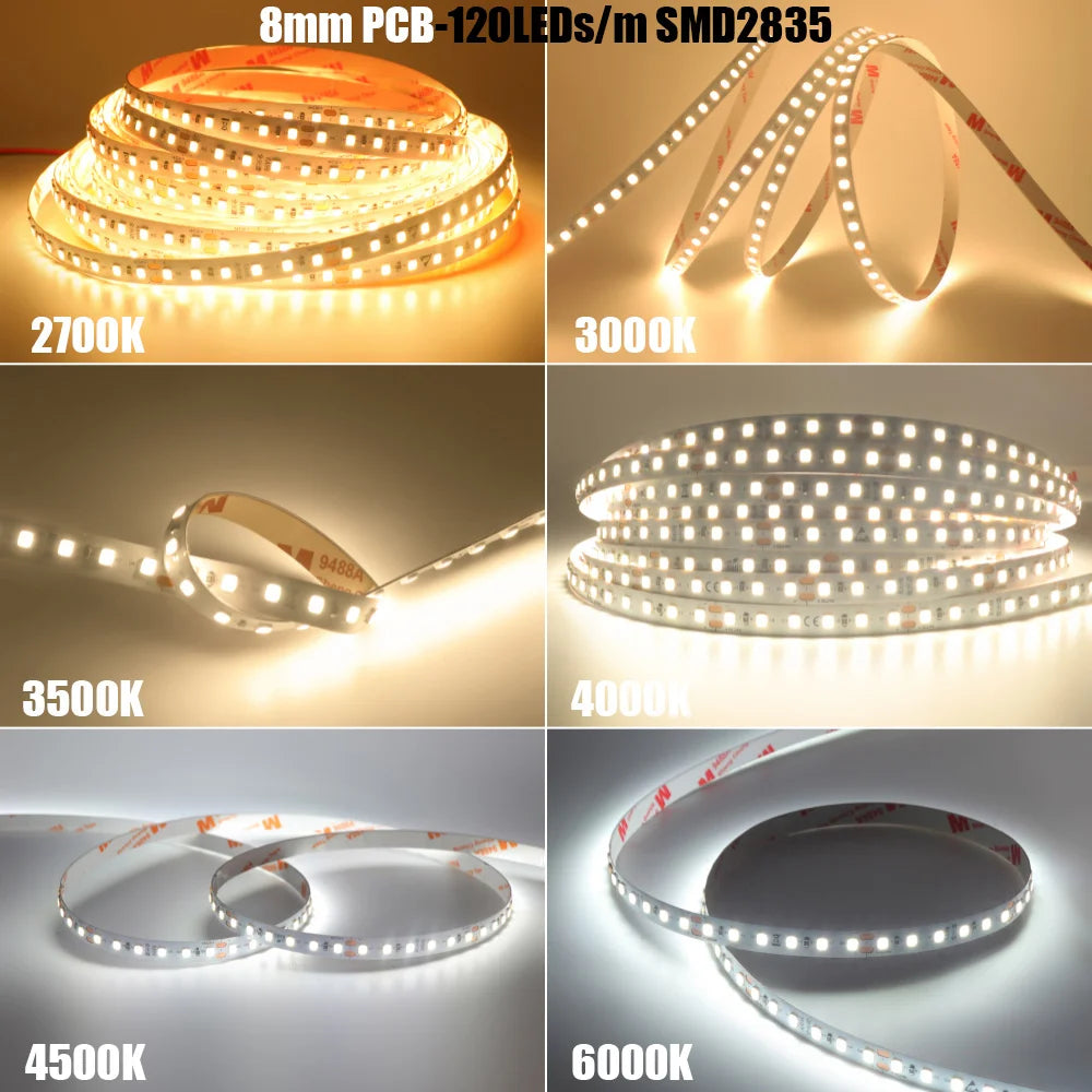 LED Strip Light RA98 5mm 8mm PCB 5m 10m 24V 2835 120 240 LEDs Flexible Adhesive Tape 2700K 3000K 3500K 4000K 5000K 6000K Decor