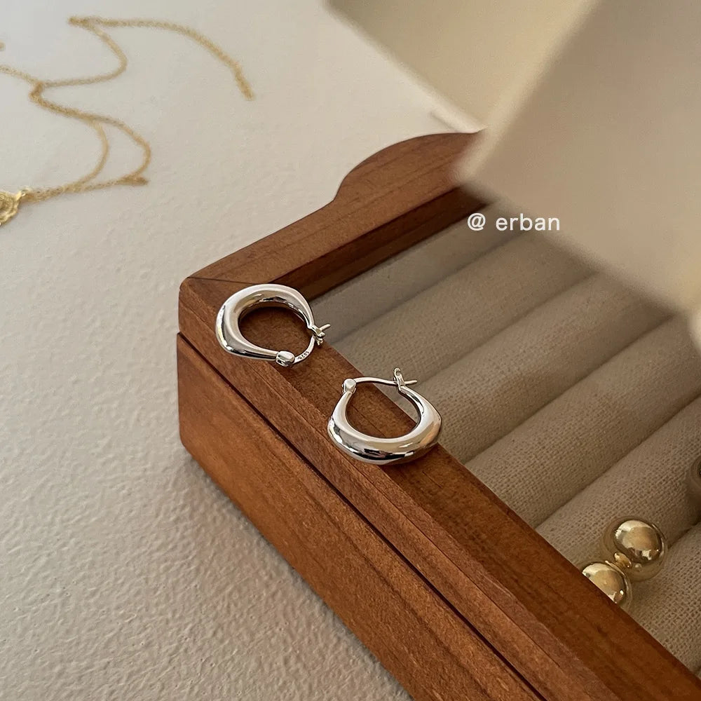 Sterling Silver Earrings Light Luxury Simple Elegant Grand Exquisite High End Fashionable Style of Earrings for Women