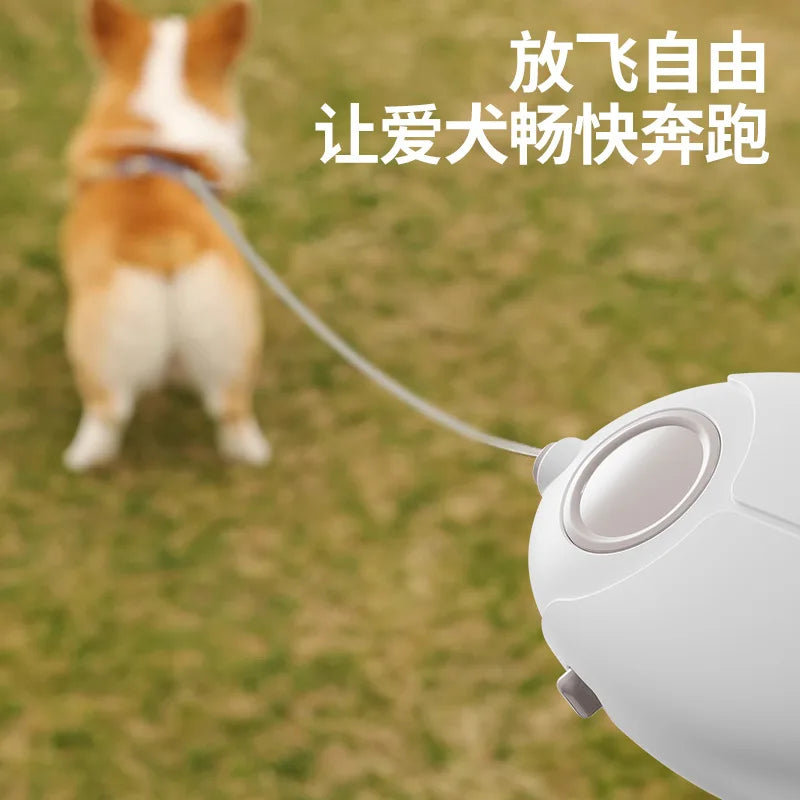 Pet Leash, Luminous Automatic Retractable Pet Supplies Leash