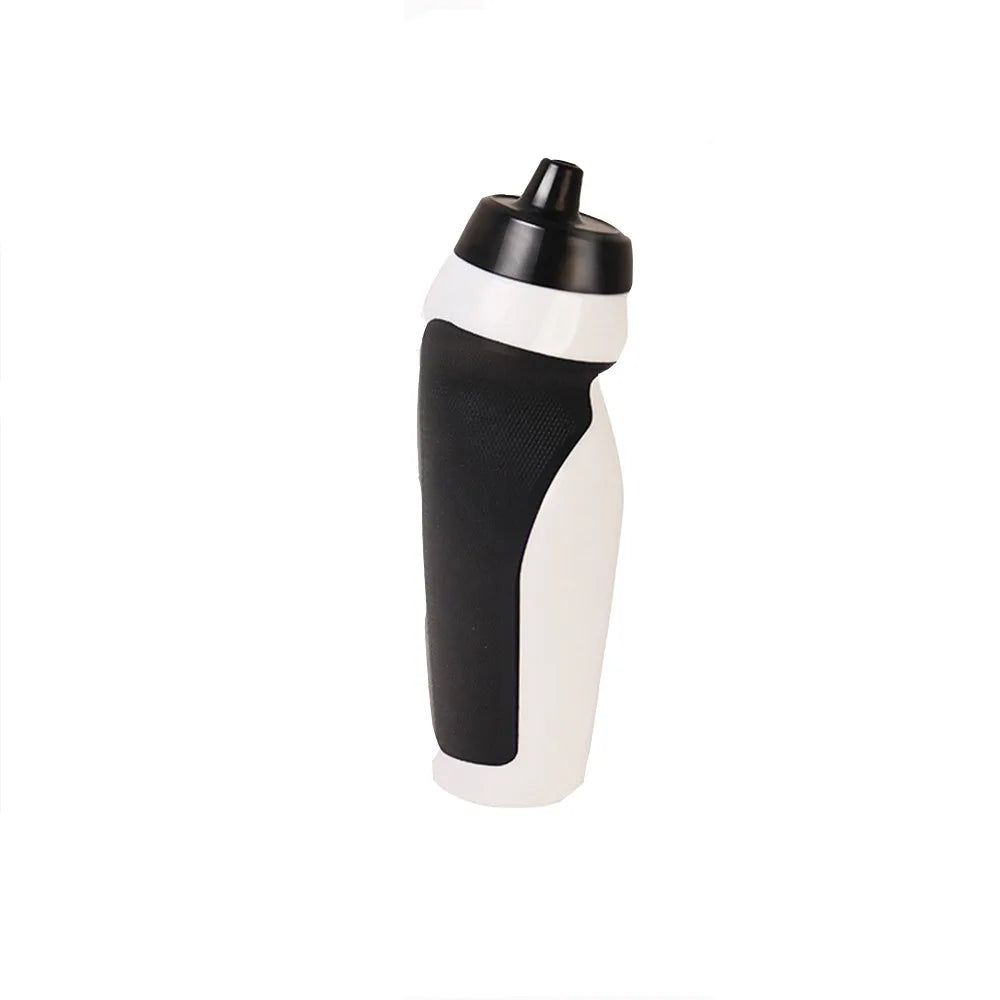 Insulated Stainless Steel Water Bottle Free Sip Double-Layer Kettle Outdoor Travel Water Bottle w/Straw Vacuum Flasks