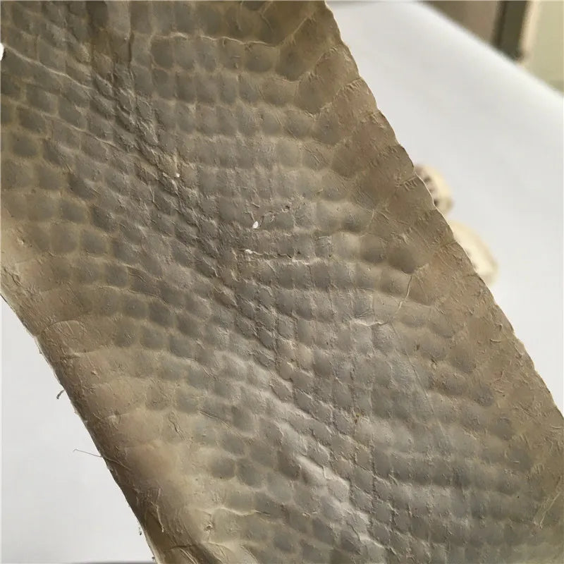 Genuine Leather Snake Leather for DIY, Natural Color Grain, Handmade Belt, Shoe, Handbag, Primary Color, Small
