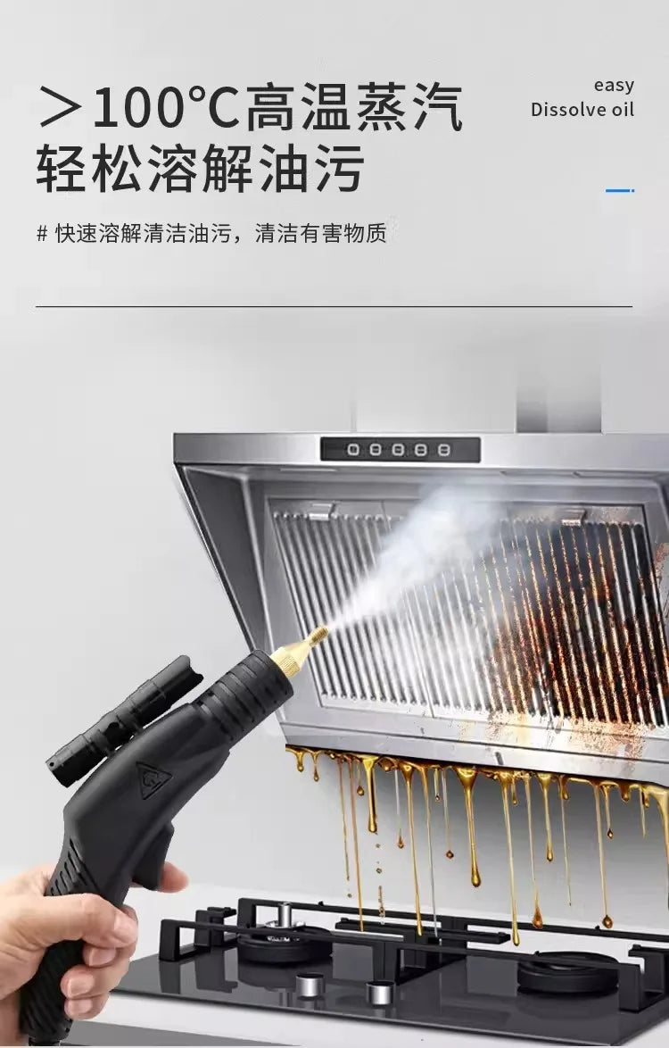 220V Steam Cleaner High Pressure Multi Function Washer for Home Appliances and AC Cleaning AF