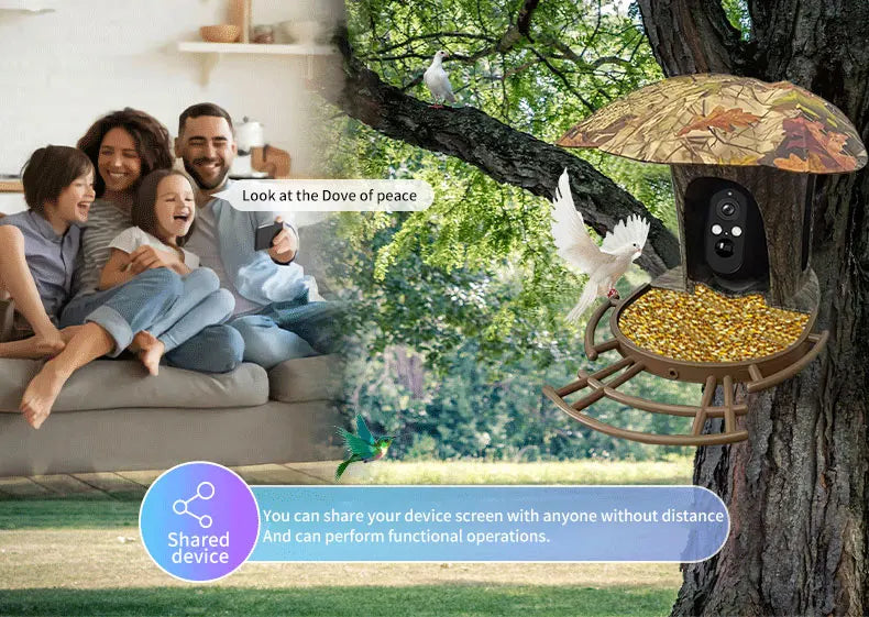 3MP 1296P I-Cam+ APP  Bird Feeding  Solar Battery  Power  IP Camera AI Outdoor Watch Bird Feeder Long Time Standby CCTV Monitor