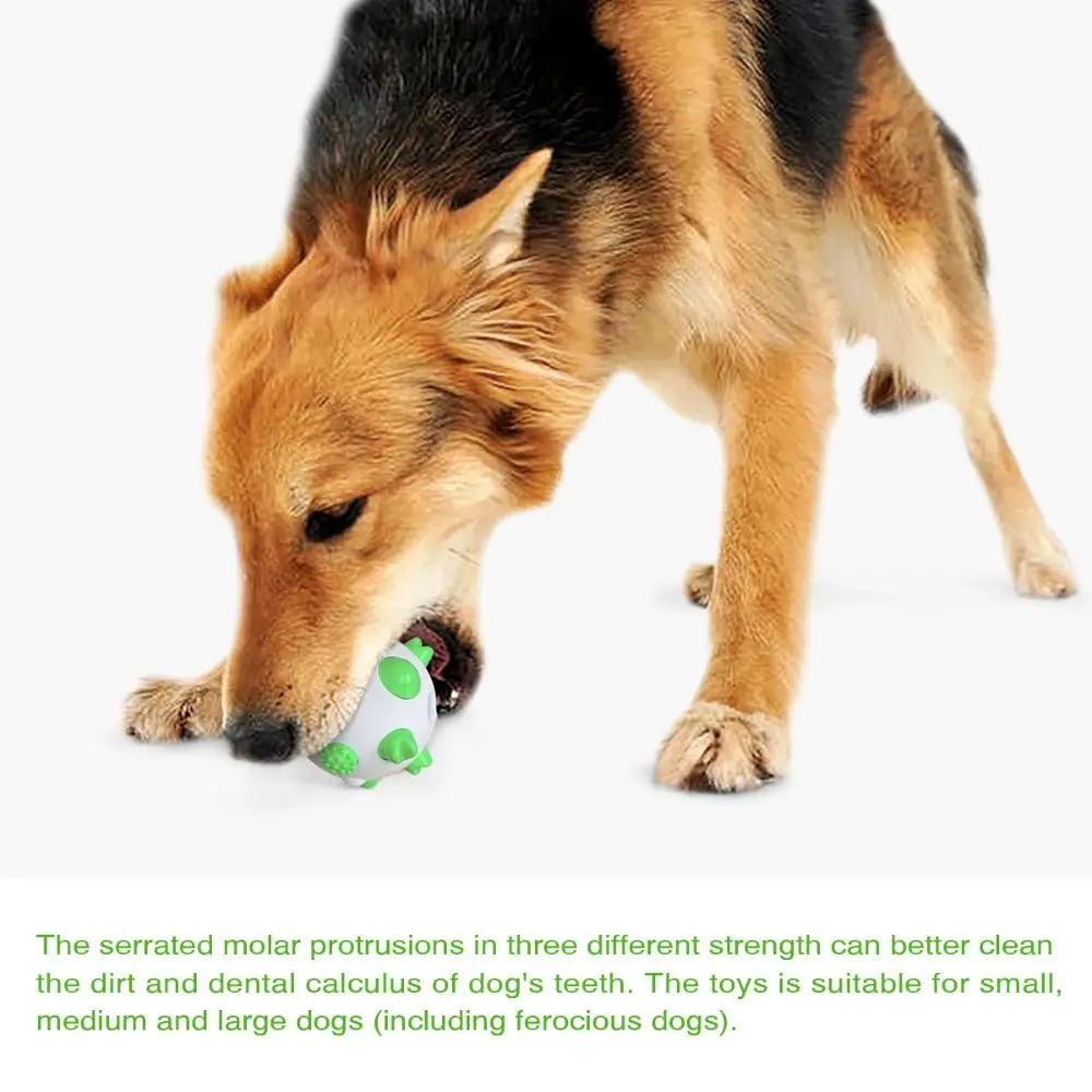 Pet Supplies Bite Resistant Pet Toy Ball TPR Wear Resistant Dog Chew Toy Non-slip Pet Teeth Cleaning Ball for Dogs Puppy Cats