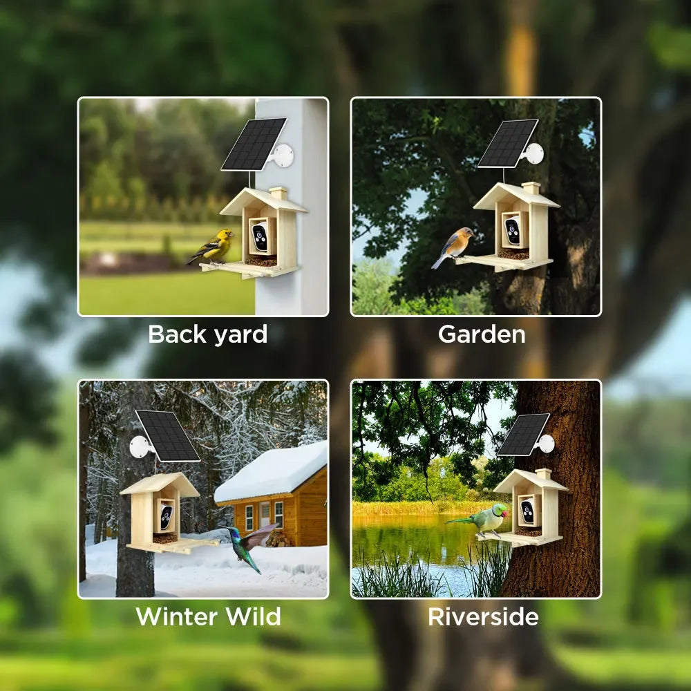 4 Million HD Camera Multifunctional Low-power Waterproof Bird Feeder With Camera