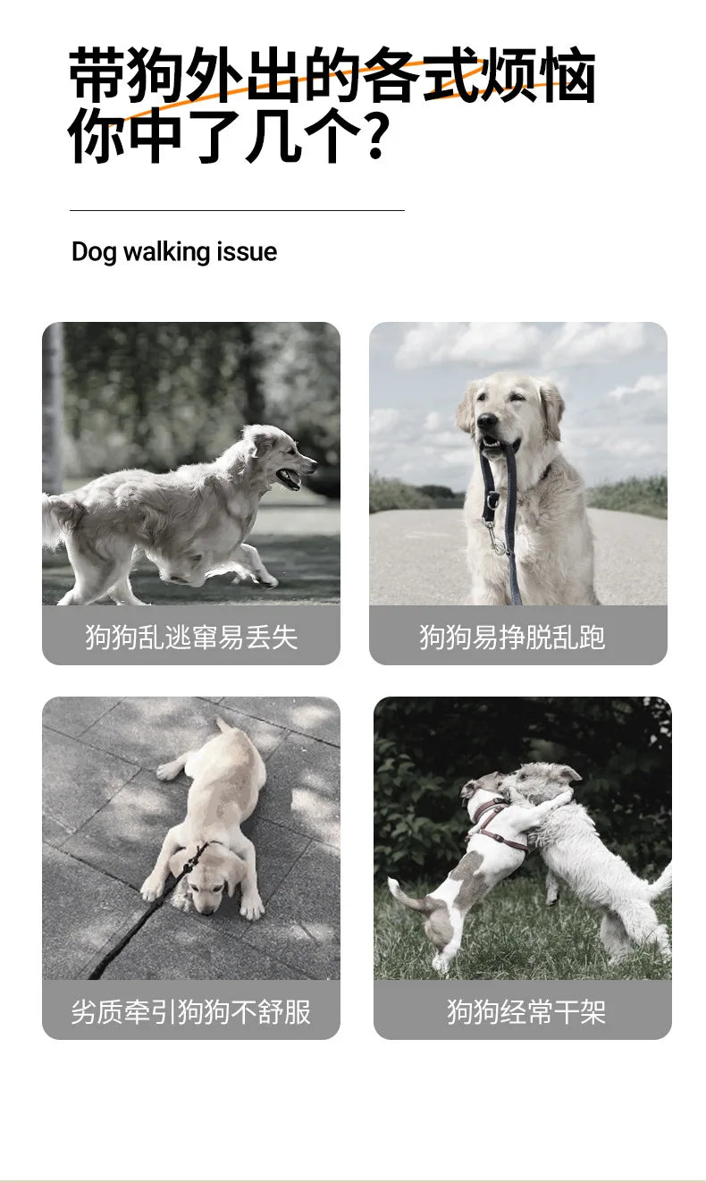 Pet Leash, Luminous Automatic Retractable Pet Supplies Leash