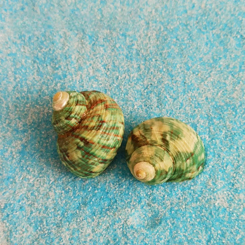 Aae Ball Aquarium Decoration Coral Micro Lacape Eco-Friendly Fi Tank Accories Toy Figurine Boat Garden Decoration