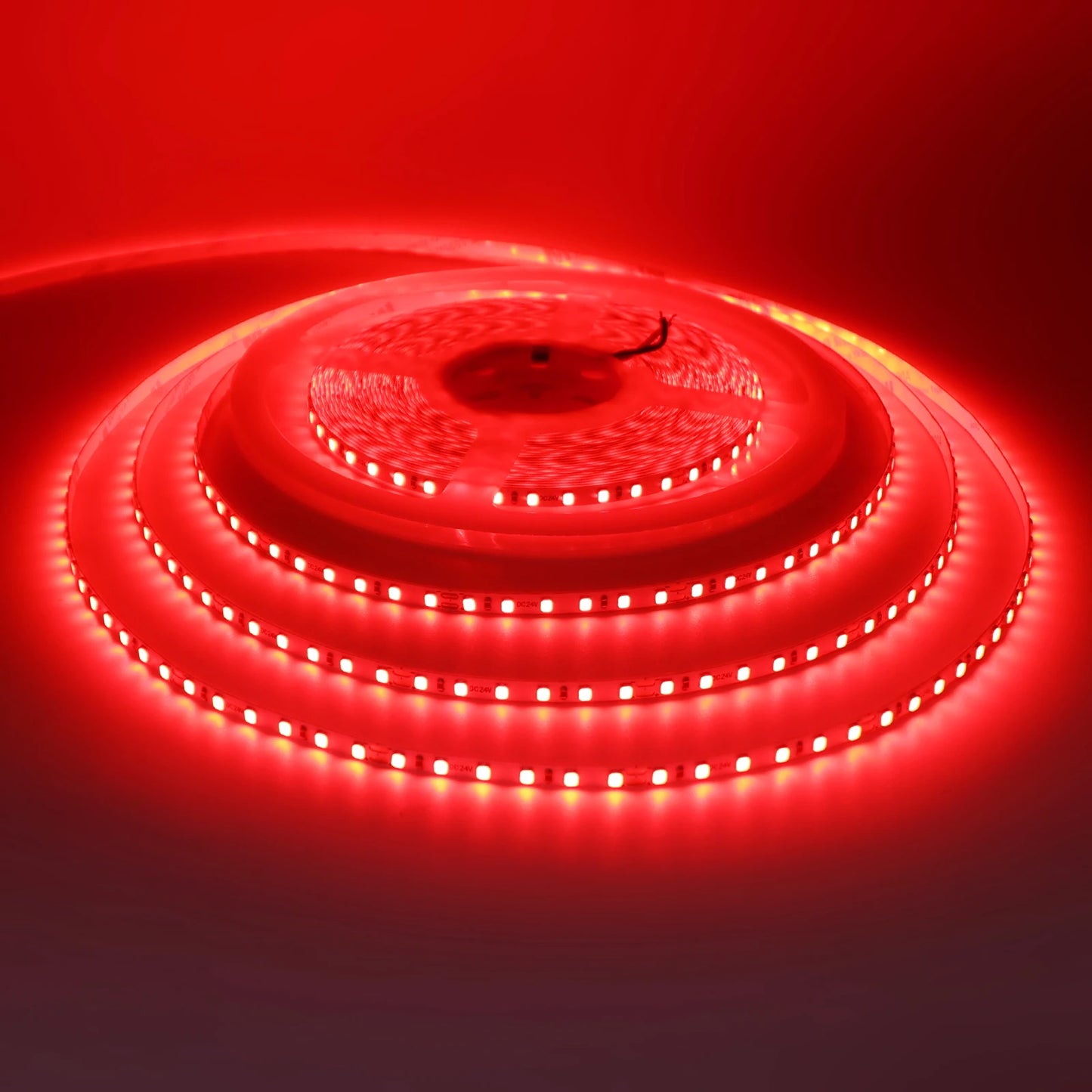 LED Strip 5mm 12V 24V 120LEDs/m Warm White Yellow Red Green Ice Blue Pink Purple Not Waterproof Flexible Tape for DIY Room Decor