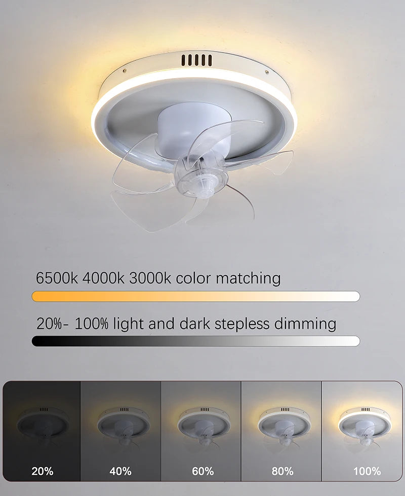 LED Ceiling Fan Lamp RGB Stepless Dimming Remote Interior Lighting Fixture Bedroom Living Home Decor Ceiling Fan With Light