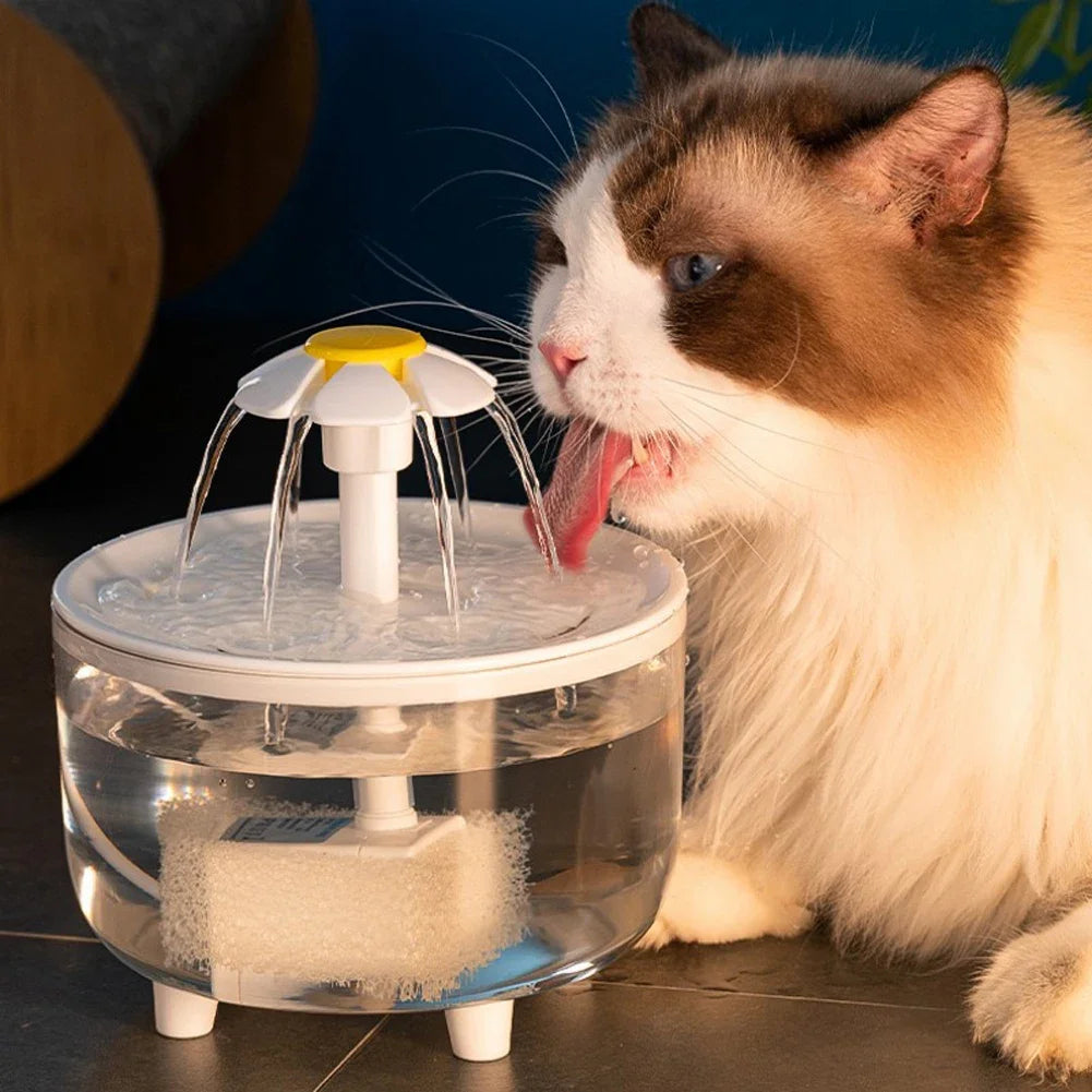 1L USB Pet Water Fountain with Pump & Filter Anti-Dry Burning Cat Water Dispenser Auto Recirculating Pet Water Flow Drinker