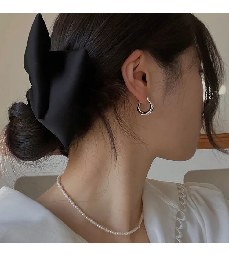Sterling Silver Earrings Light Luxury Simple Elegant Grand Exquisite High End Fashionable Style of Earrings for Women