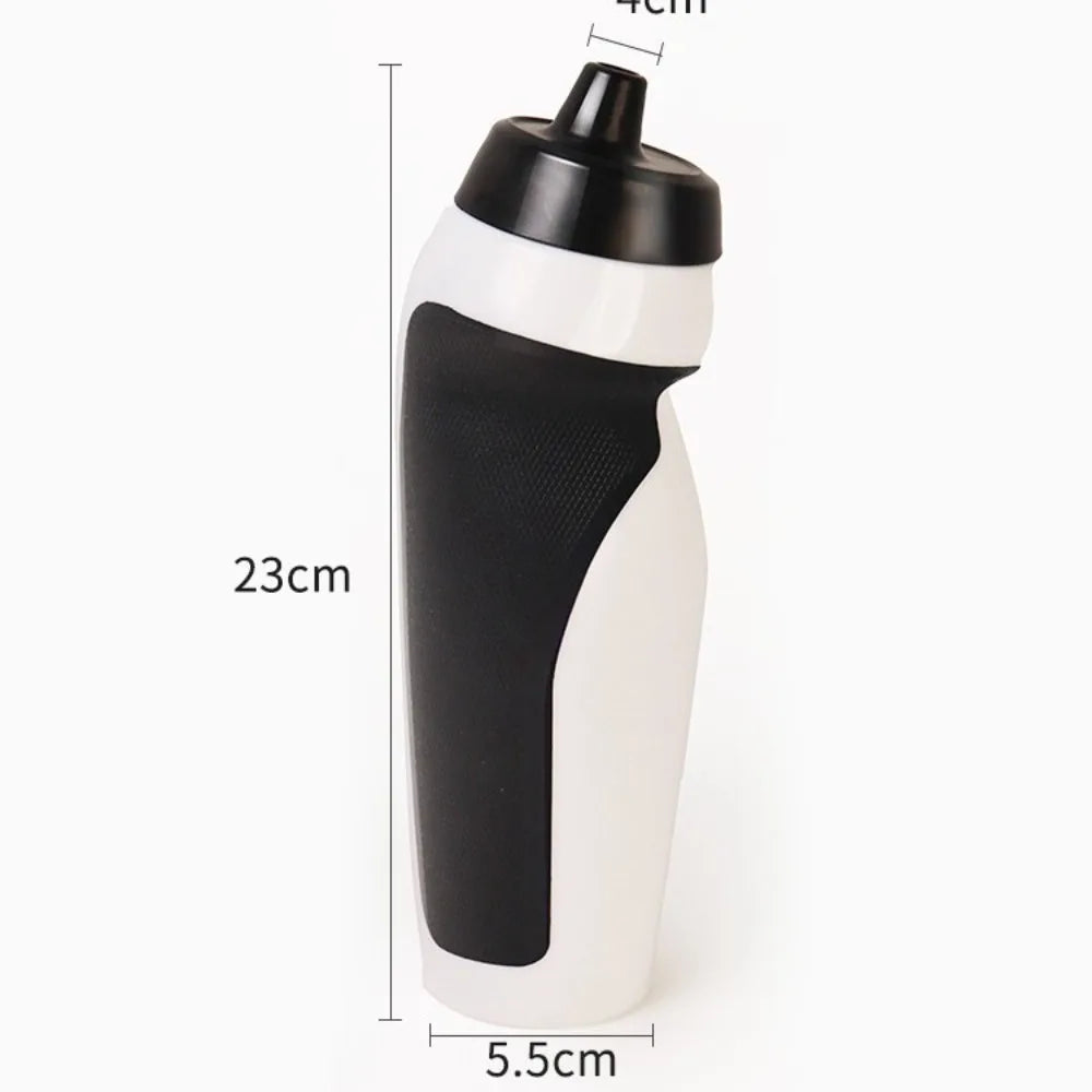 Insulated Stainless Steel Water Bottle Free Sip Double-Layer Kettle Outdoor Travel Water Bottle w/Straw Vacuum Flasks
