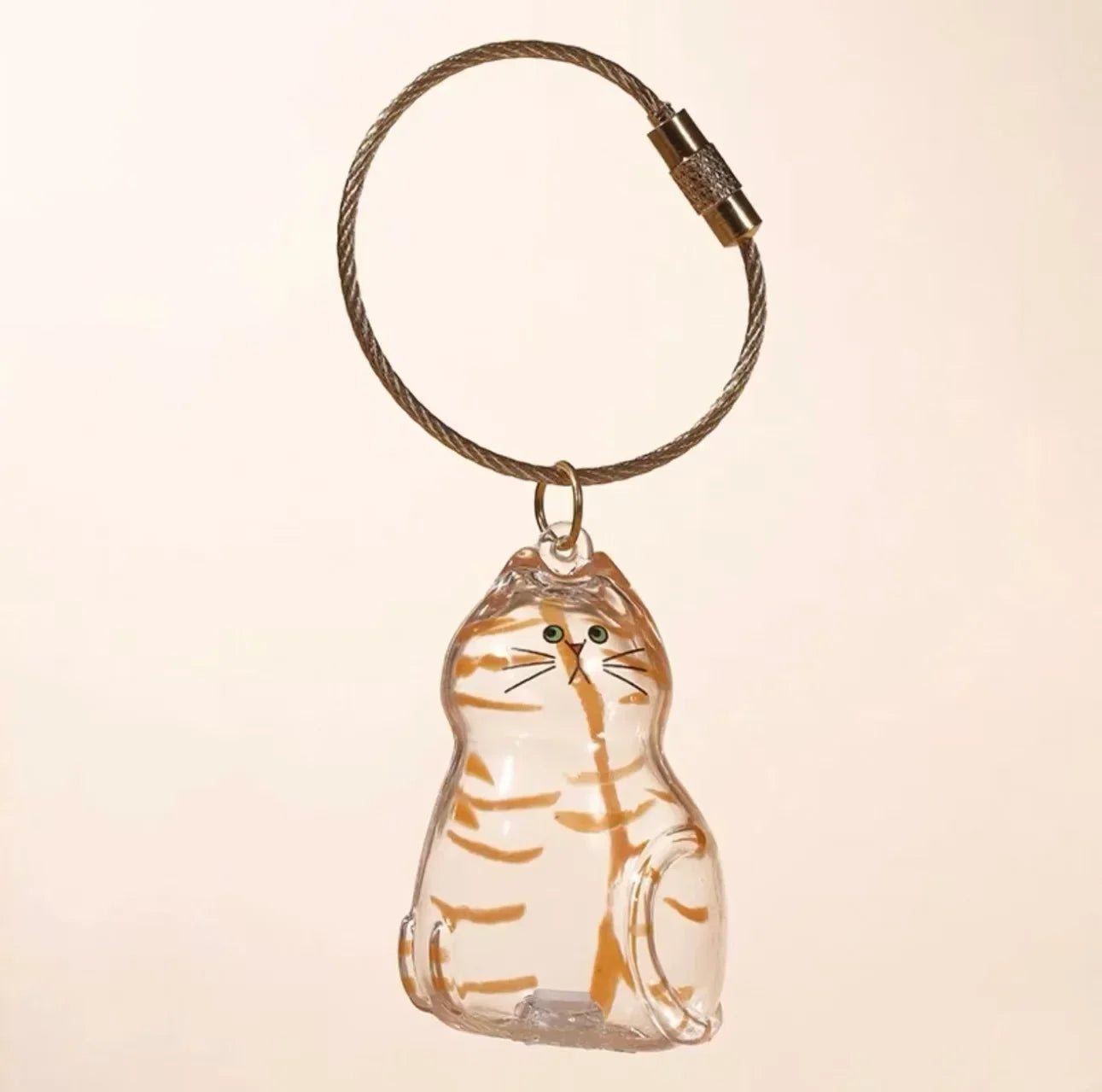Pet Hair Keepsake Box Transparent Storage Container for DIY Decoration Memorial Gift for Pet Lovers Home Display