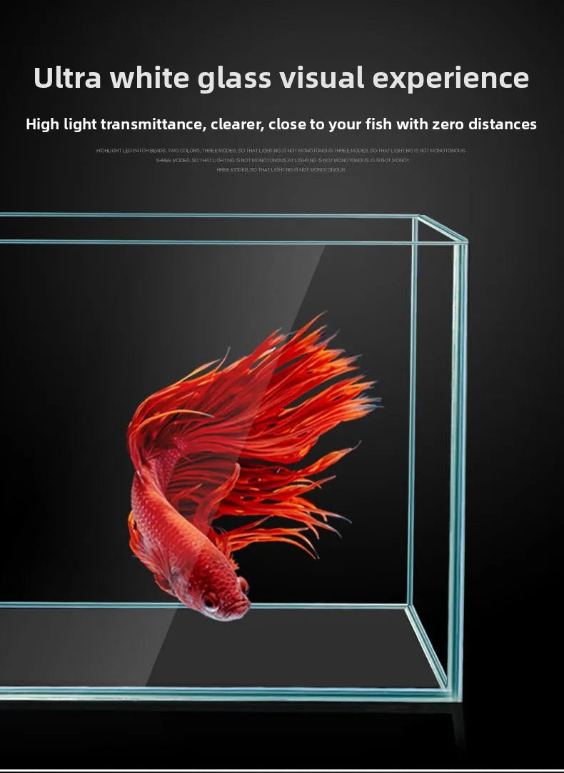 Creative Small Desktop Aquarium, Ecosystem Fish Tank for Office Home Desk Decoration, Mini Glass Tank