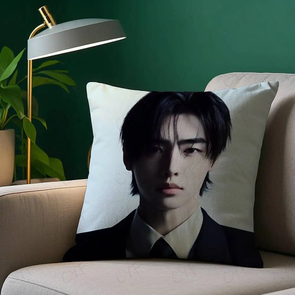 Kpop Singer P-Park Sunghoon Pillow Case Anti-dustmite Pillowcase Invisible zipper silky short plush Sofa cushion cover