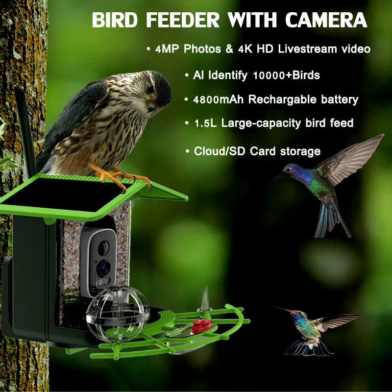 DIDSeth Smart Bird Feeder Camera 4MP 2K HD Solar Powered IP66 Waterproof 1.5L Capacity Night Vision Birdwatching Instant Alerts