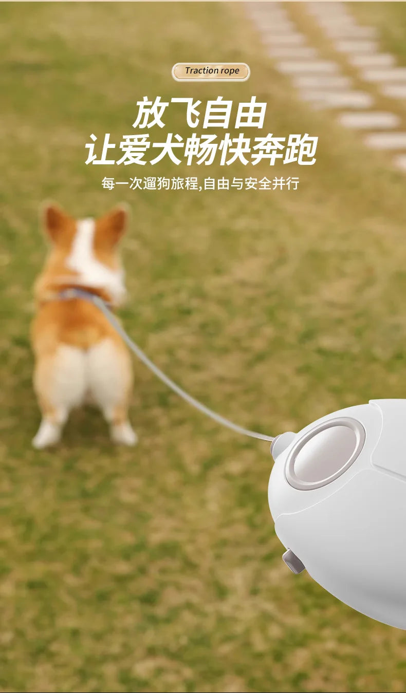 Pet Leash, Luminous Automatic Retractable Pet Supplies Leash