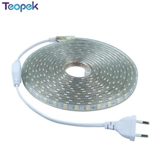 LED Strip 5050 60leds/m 220V Waterproof Flexible LED light Tape 220V lamp Outdoor String With Power Plug 1M 3M 5M 10M 15M 20M