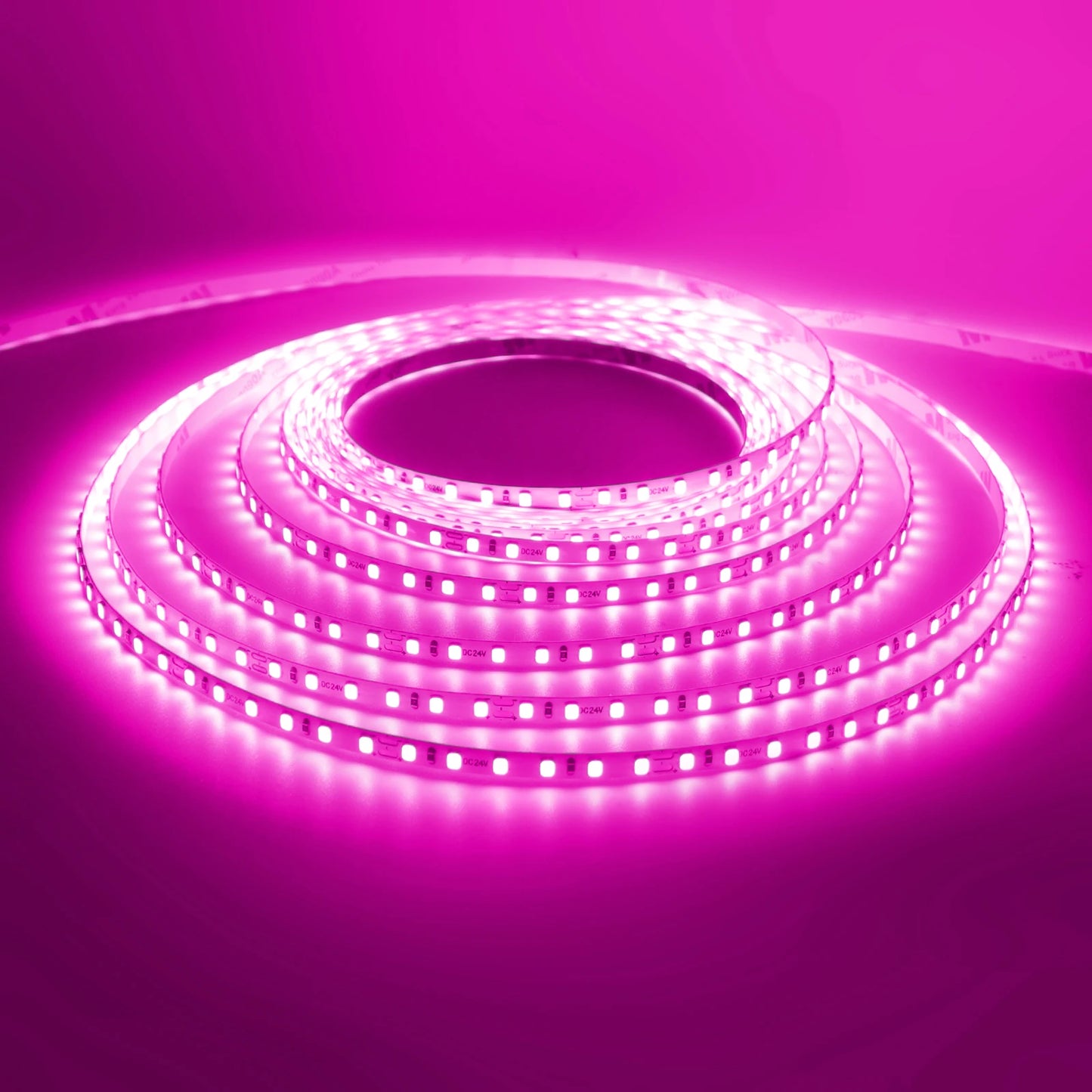 LED Strip 5mm 12V 24V 120LEDs/m Warm White Yellow Red Green Ice Blue Pink Purple Not Waterproof Flexible Tape for DIY Room Decor