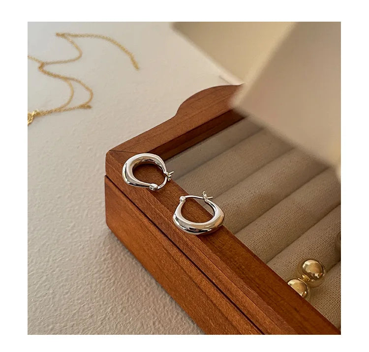 Sterling Silver Earrings Light Luxury Simple Elegant Grand Exquisite High End Fashionable Style of Earrings for Women