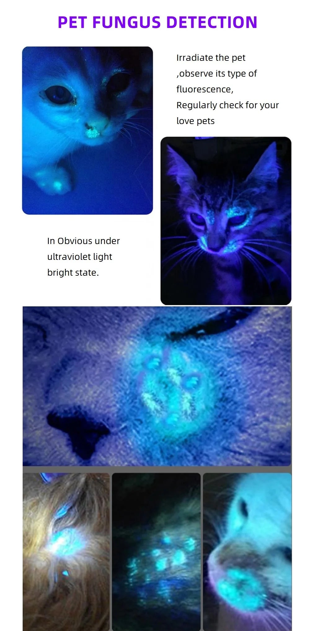 Ultraviolet 365/395nm Zoom Ultra Violet flashlight UV Fluorescent Blacklight Invisible Marker Curing Cat Dog Detector TK504
