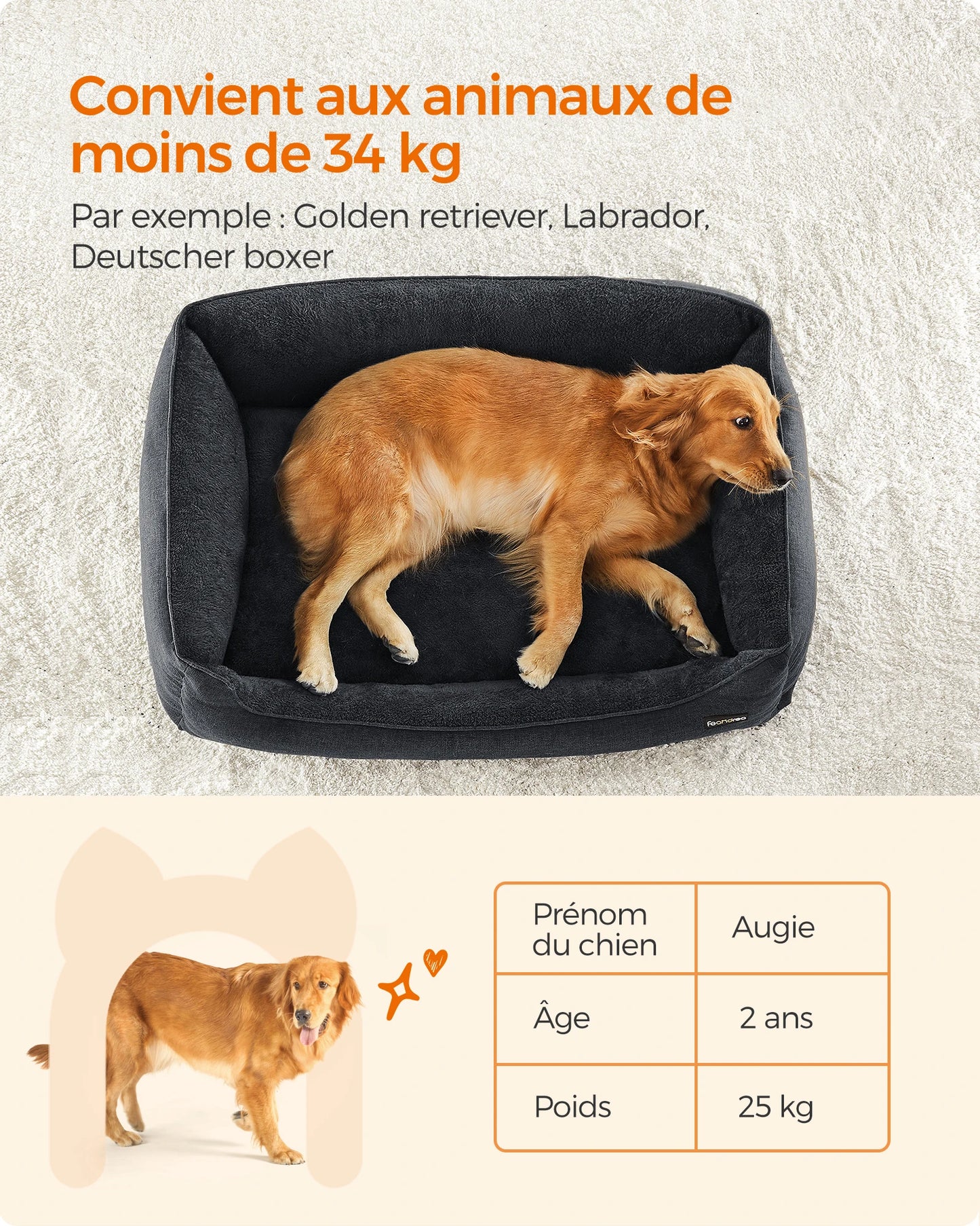 Dog Basket, Pet Bed, Sofa, Linen-Like Fabric, Raised Edges, Non-Slip, Washable Removable Cover, XL Size for Large Dogs