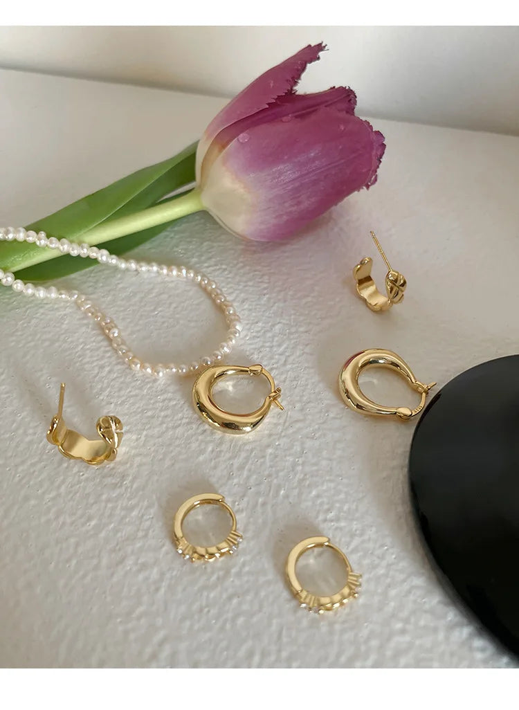 Sterling Silver Earrings Light Luxury Simple Elegant Grand Exquisite High End Fashionable Style of Earrings for Women