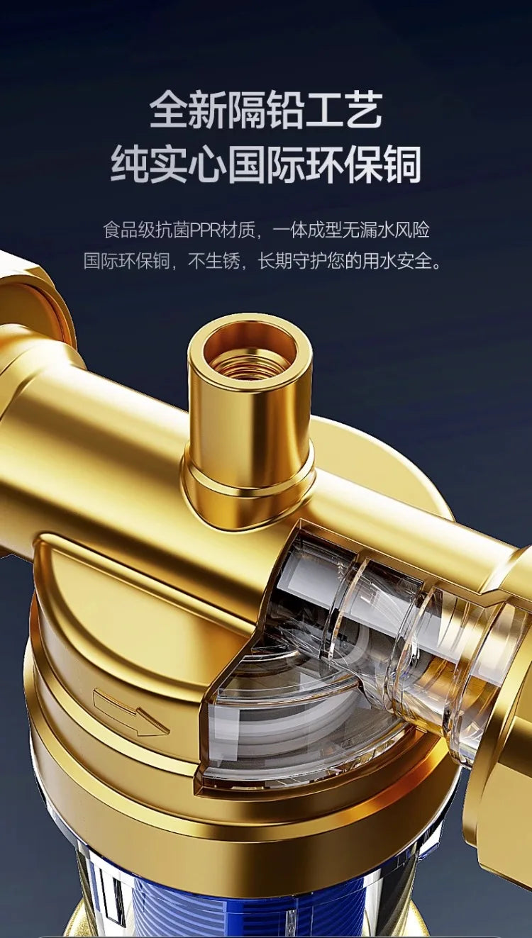 220V AUX Whole House Water Filter Automatic Backwash Stainless Steel Purifier for Home WCL