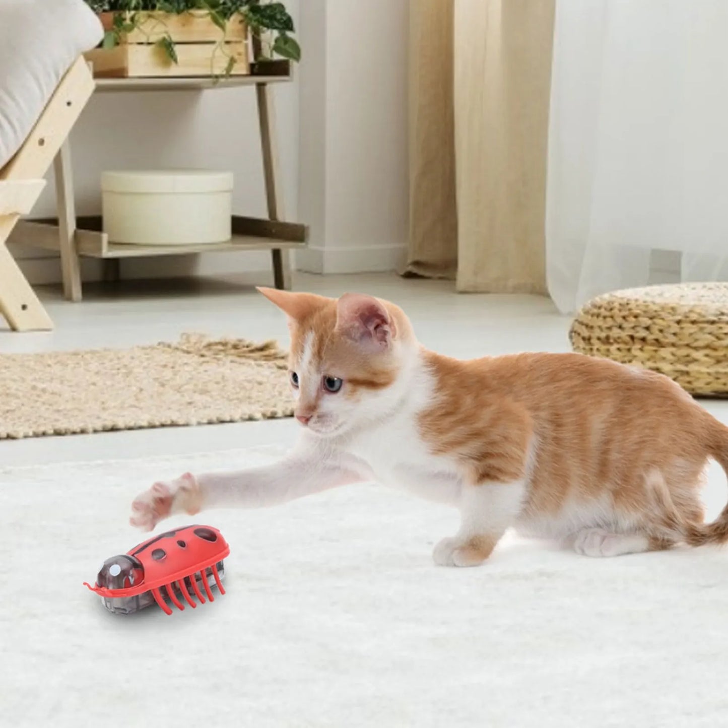 Pet Mini Cute  Shape Electric Funny  Playing Interactive with Battery for Cat Cat Electric  Mini Cute Cat