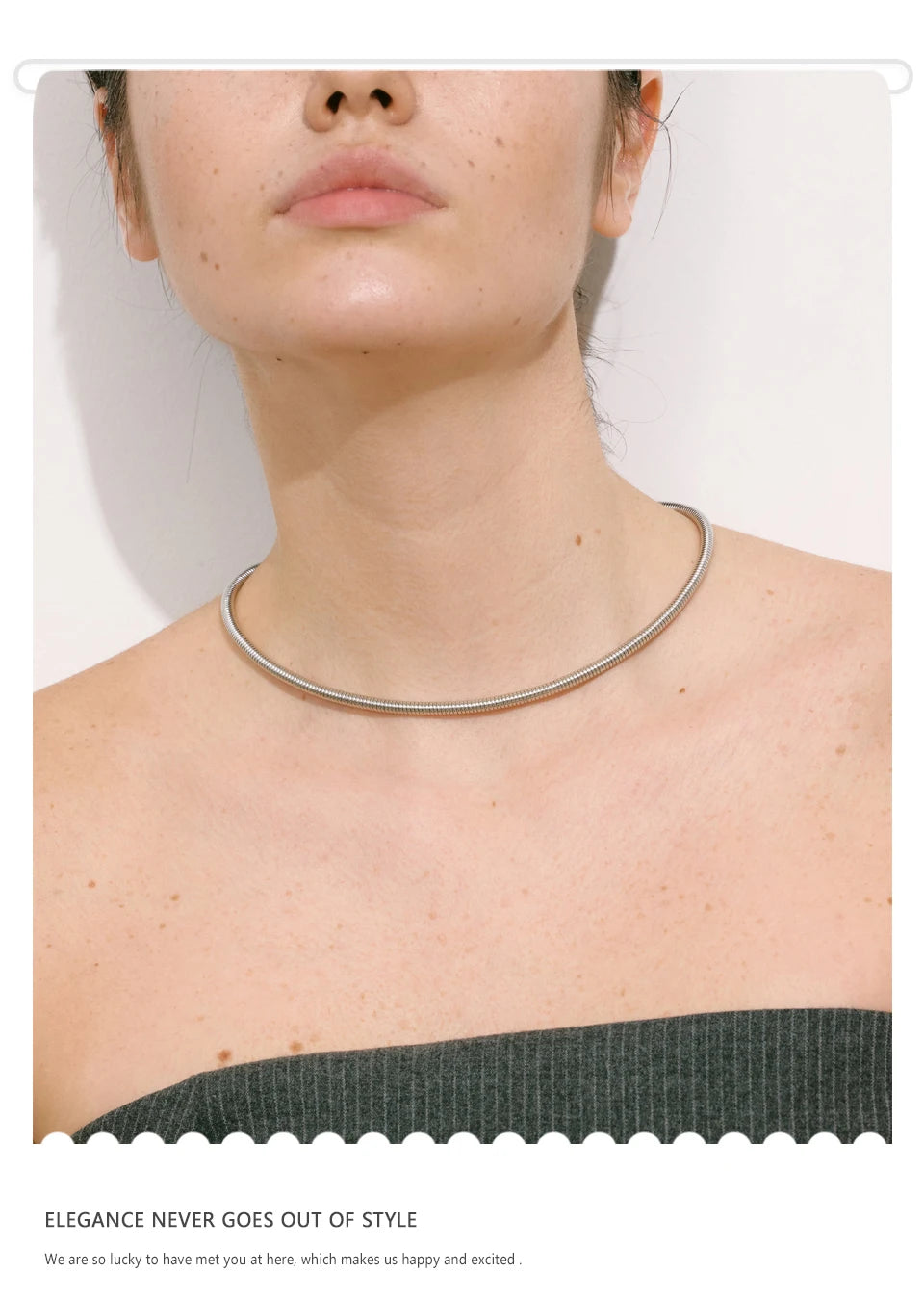 NiNice Necklace 316 Stainless Steel Snake Chain Collar 18k Plated Fashionable Simple gift Collares Para Mujer Grandes Modernos
