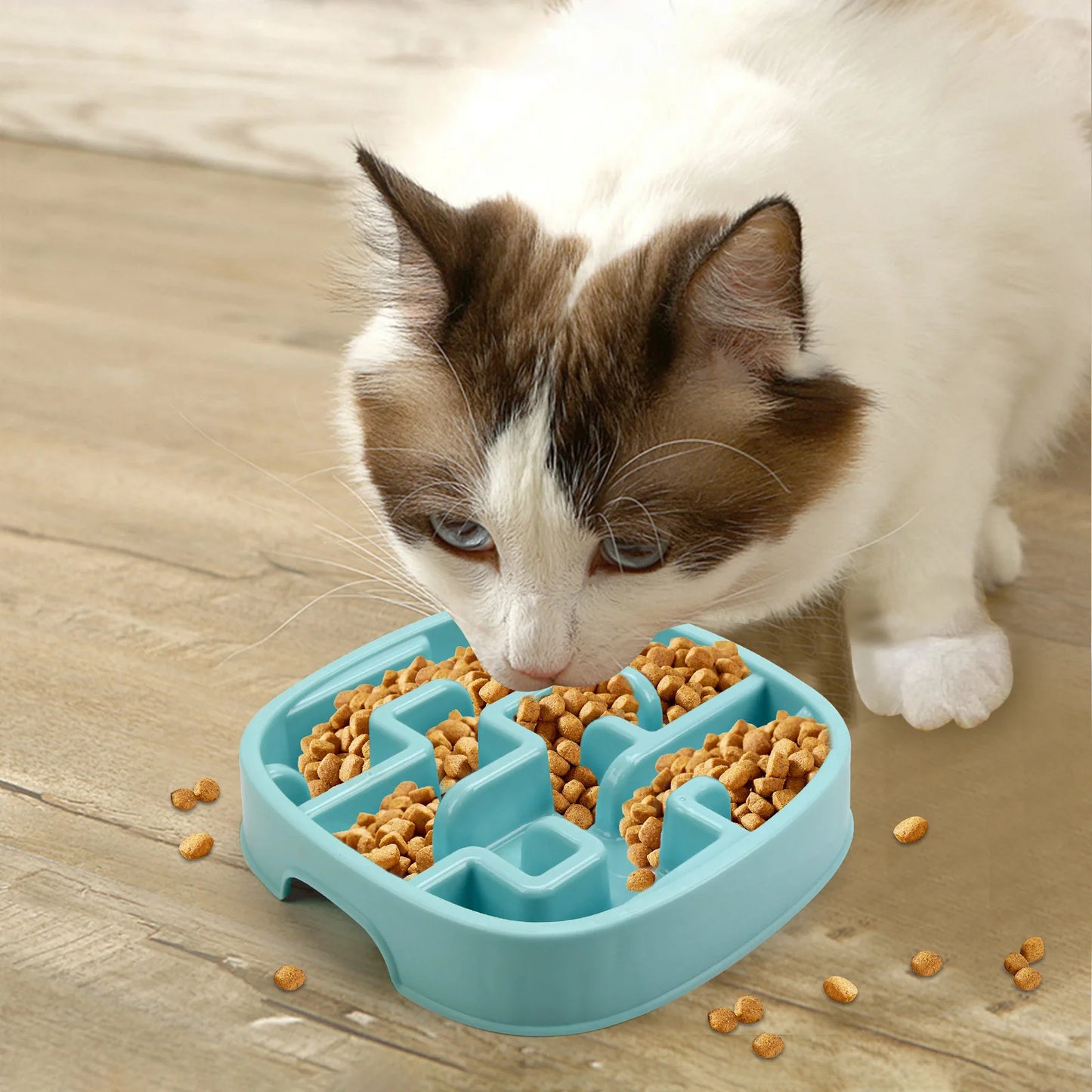 PP Material Pet Bowls Set – Dog & Cat Slow Food Bowls, Non-Slip Feeding Bowls & Durable Pet Supplies
