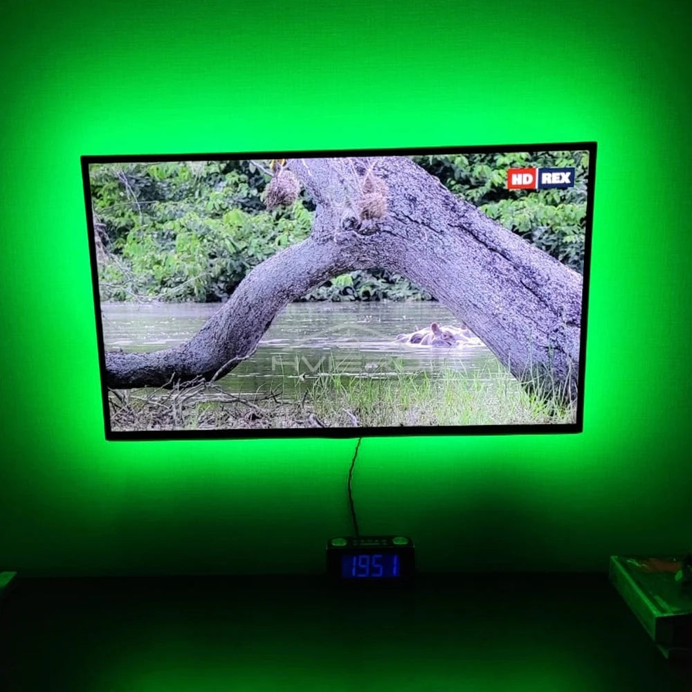 5M 600LEDs LED Strip 2835 DC12V 120LEDs/M Flexible Light Belt Led Ribbon Tape Home Decoration White Blue Red Green Lamp Strips